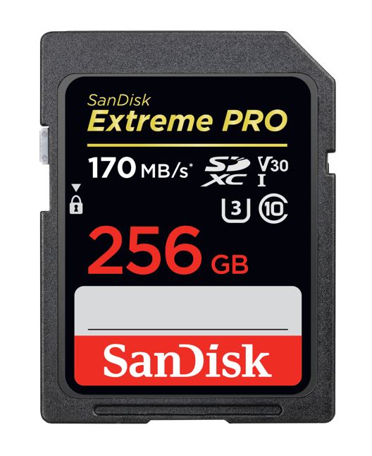 SanDisk 256GB Extreme PRO Memory Card 170MB/s Full HD  4K UHD Class 30 Speed Shock Proof Temperature Proof Water Proof (LS> SDSDXXD-256G-GN4IN) (LS)
