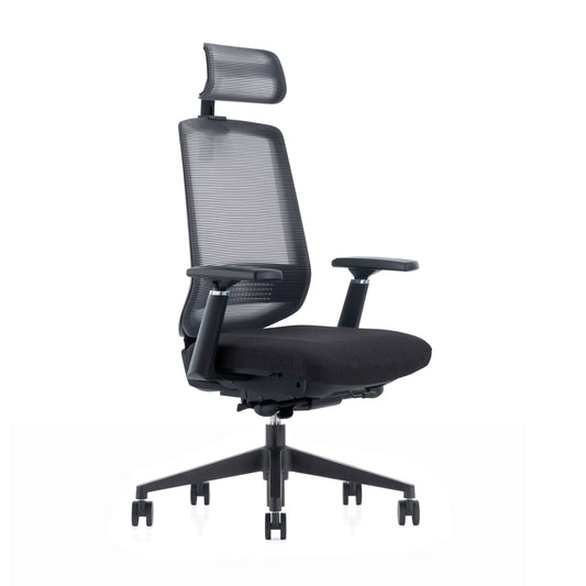 LDR ErgoLite Ultra Chair–Premium ergonomic office chair with 3D arms,seat slider,lumbar support,5 lock backrest  synchro tilt.Executive Styling,Black