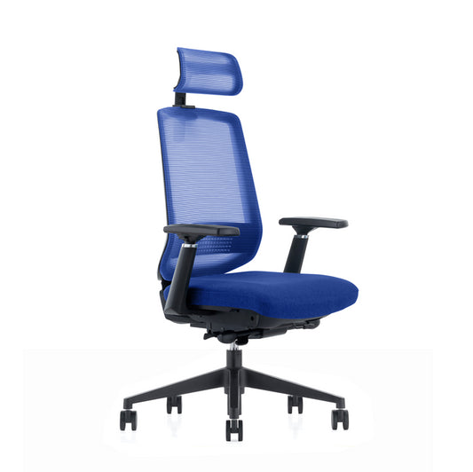 LDR ErgoLite Ultra Chair–Premium ergonomic office chair with 3D arms,seat slider,lumbar support,5 lock backrest  synchro tilt.Executive Styling,Blue